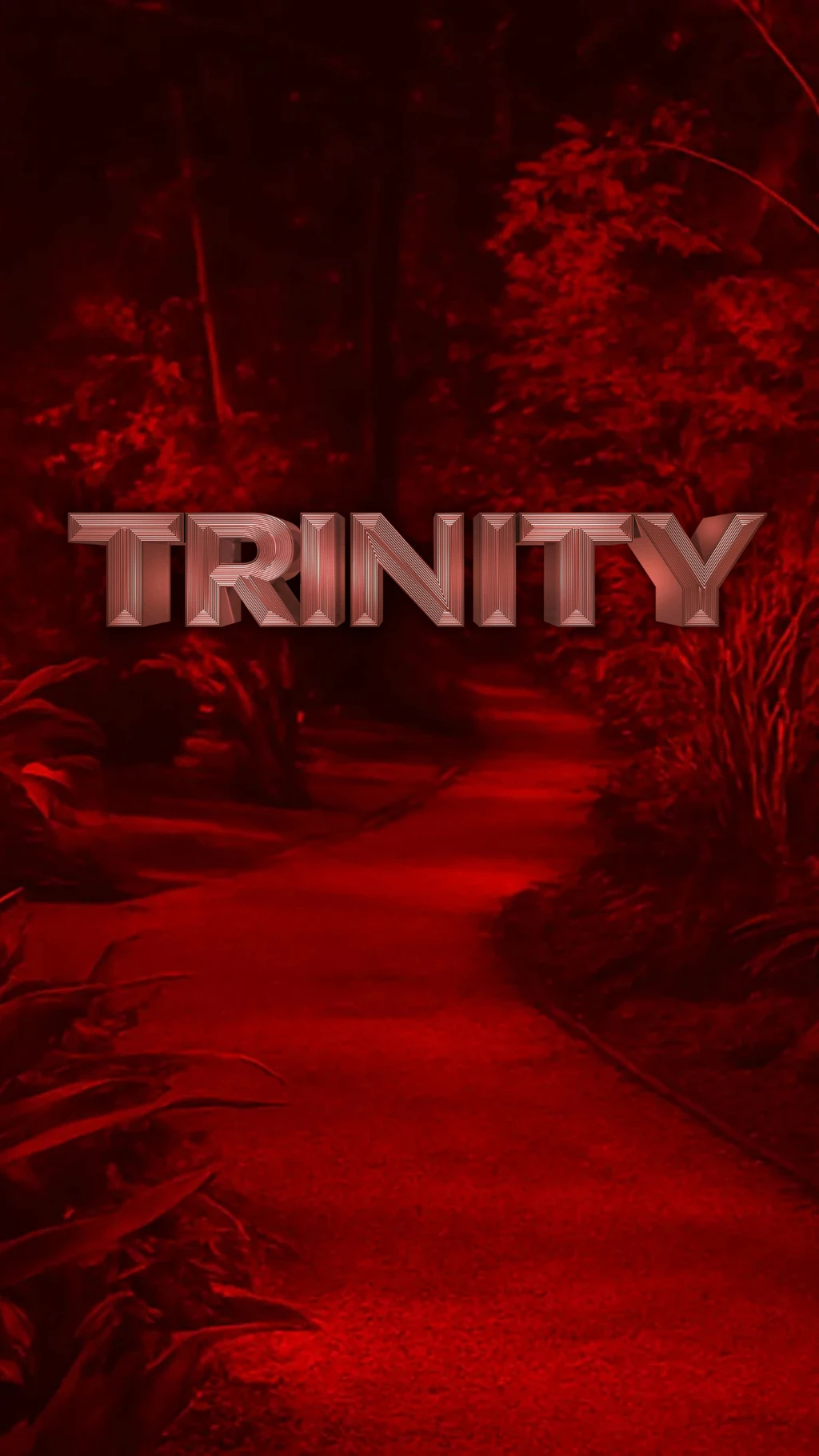 "Как три жени работят успешно заедно?"